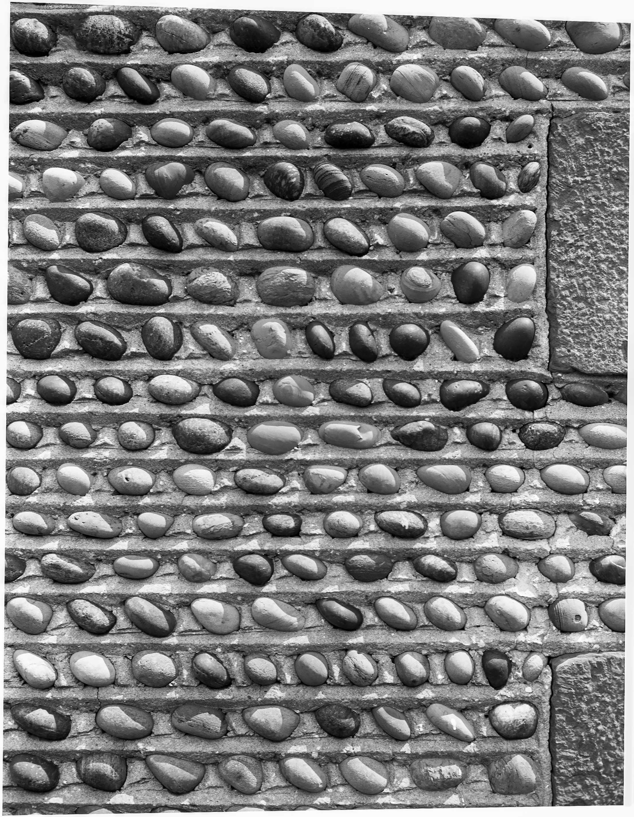 GP Wayne Ontario Ont-12 1-1 P